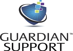 ӽ, Guardian Support  ͸ ȭ